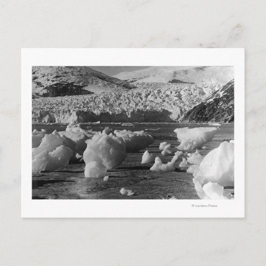 Taku Glacier bei Juneau, Alaska Fotograf Postkarte (Vorderseite)