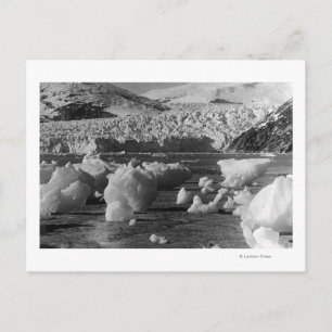 Taku Glacier bei Juneau, Alaska Fotograf Postkarte