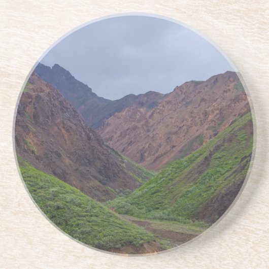 Tal am Toklat-Fluss Denali Getränkeuntersetzer (Vorne)