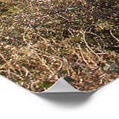 Tal bei Velarde New Mexico - Poster (Ecke)