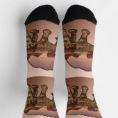 Tal der Rhinozeros, Crews Socken (Oben)