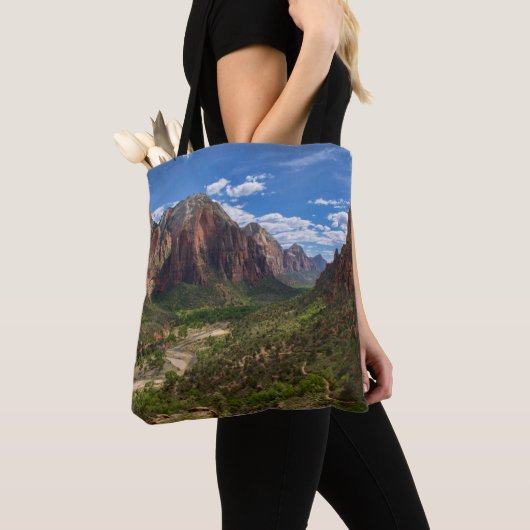 Tal im Zion-Nationalpark Tasche (Von Nahem)