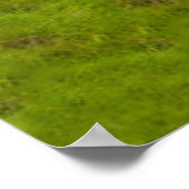 Tal in Walnut Creek, Ohio im Sommer Poster (Ecke)