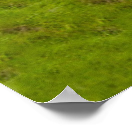 Tal in Walnut Creek, Ohio im Sommer Poster (Ecke)