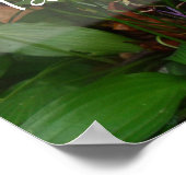 Tal ist das billigste Plakat für Weisheitsgrün (Ecke)