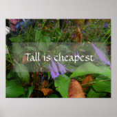 Tal ist das billigste Plakat für Weisheitsgrün (Vorne)