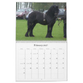 Tal-Pony-Kalender Kalender (Feb 2027)