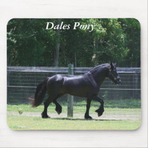 Tal-Pony-Trab Mousepad