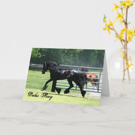 Tal-Ponytrottenkarte Karte (Gelbe Blume)