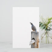 Tal Quail Foto Papier (Stehend Vorderseite)