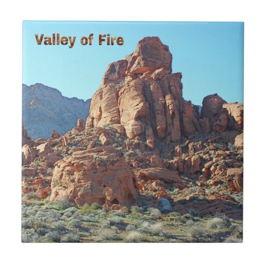 Tal Staat Park Fliese (Vorderseite)