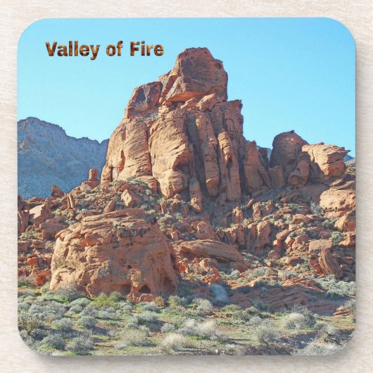 Tal Staat Park Getränkeuntersetzer (Vorderseite)