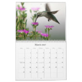 Tal-Vision Kalender (Mär 2027)