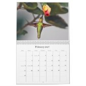 Tal-Vision Kalender (Feb 2027)