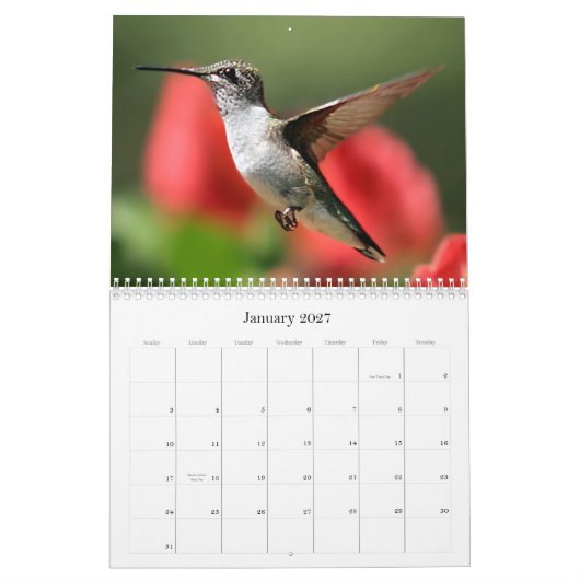 Tal-Vision Kalender (Jan 2027)