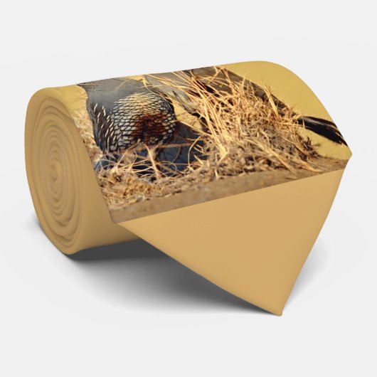 Tal-Wachteln (Kalifornien) Krawatte (Gerollt)