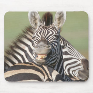 Tala-private Reserve, Kwazulu Natal, Süd Mousepad