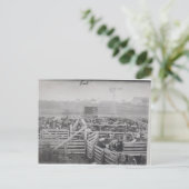 Talala, OK Stockyards auf Ostseite Postkarte (Stehend Vorderseite)