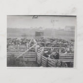 Talala, OK Stockyards auf Ostseite Postkarte (Vorderseite)