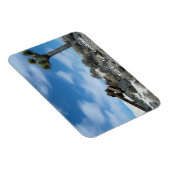 Talc Mine Ruins mit Joshua Tree Magnet (Rechte Seite)