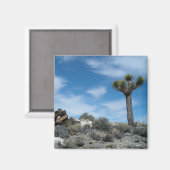 Talc Mine Ruins mit Joshua Tree Magnet (Vorderseite/Rückseite)
