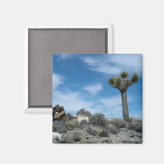 Talc Mine Ruins mit Joshua Tree Magnet (Vorderseite/Rückseite)