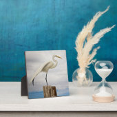 Talented Egret | Fort Myers Beach, Florida Fotoplatte (InSitu)