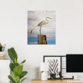 Talented Egret | Fort Myers Beach, Florida Poster (Heimbüro)