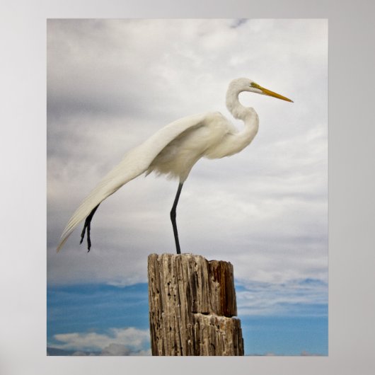 Talented Egret | Fort Myers Beach, Florida Poster (Vorne)