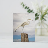 Talented Egret | Fort Myers Beach, Florida Postkarte (Stehend Vorderseite)