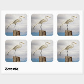 Talented Egret | Fort Myers Beach, Florida Quadratischer Aufkleber (Blatt)