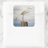 Talented Egret | Fort Myers Beach, Florida Quadratischer Aufkleber (Tasche)