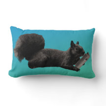 Tales Blue Green Eichhörnchen