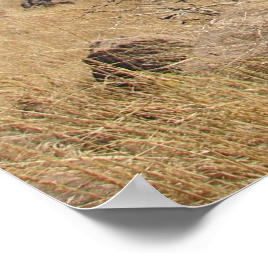 Talhang Poster (Ecke)