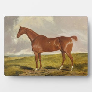 Talisman, c.1840 fotoplatte