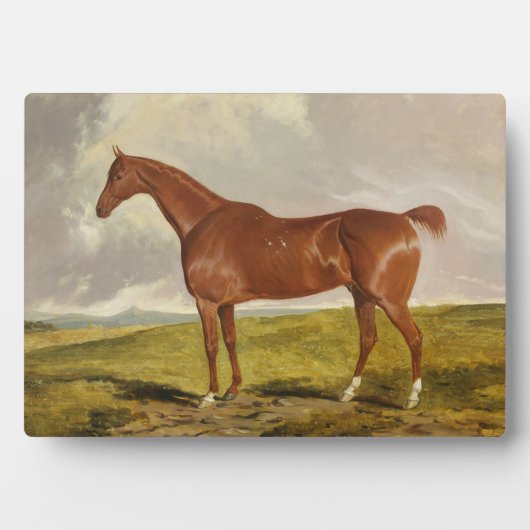 Talisman, c.1840 fotoplatte (Vorderseite)