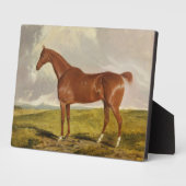 Talisman, c.1840 fotoplatte (Seite)