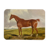 Talisman, c.1840 magnet (Horizontal)