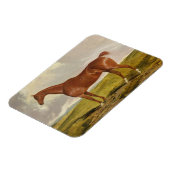 Talisman, c.1840 magnet (Linke Seite)