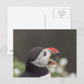 Talkative Puffin von Skomer Postkarte (Vorne/Hinten)