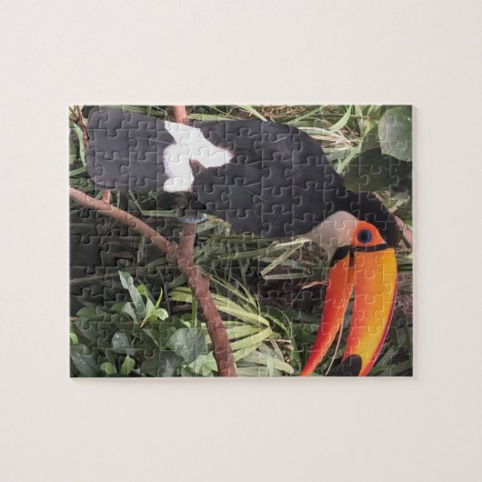 "Talkie talkie!" Tucan Puzzle (Horizontal)