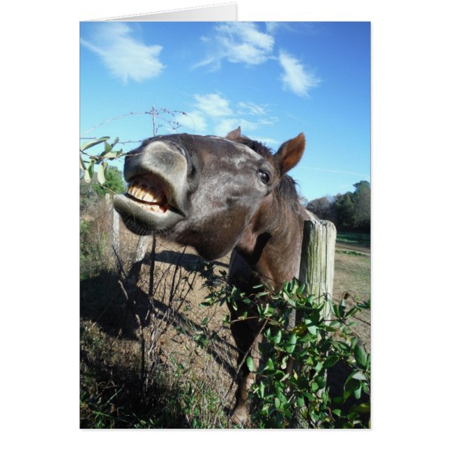 Talking Brown Horse (Vorne)