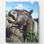 Talking Brown Horse Fotoplatte (Vorderseite)