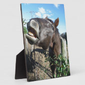 Talking Brown Horse Fotoplatte (Seite)