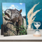 Talking Brown Horse Fotoplatte (Seite)