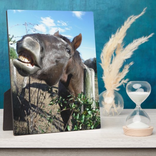 Talking Brown Horse Fotoplatte (Seite)