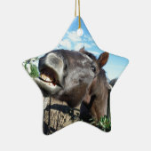 Talking Brown Horse Keramik Ornament (Rechts)