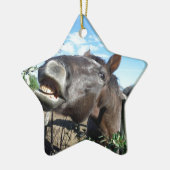 Talking Brown Horse Keramik Ornament (Links)