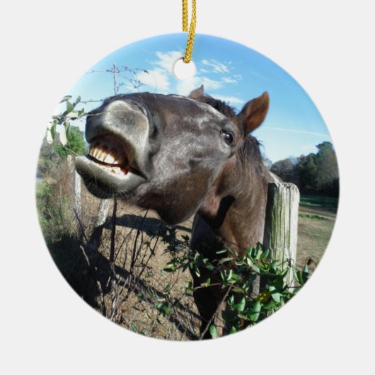 Talking Brown Horse Keramikornament (Vorne)