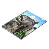 Talking Brown Horse Notizblock (Linke Seite)